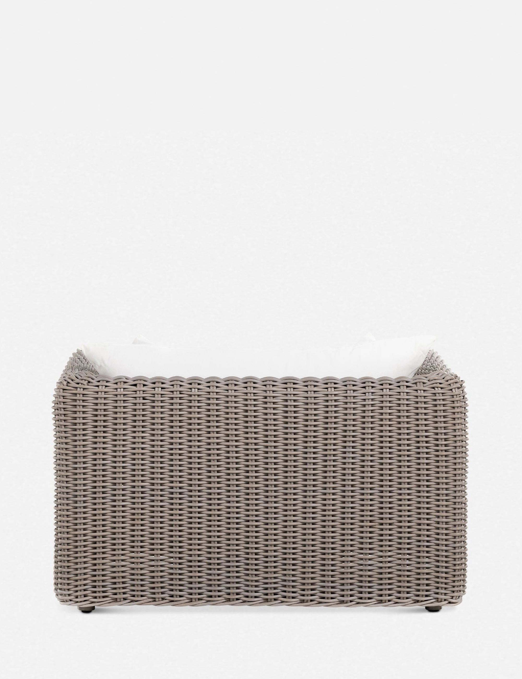Eugenie Indoor / Outdoor Accent Chair