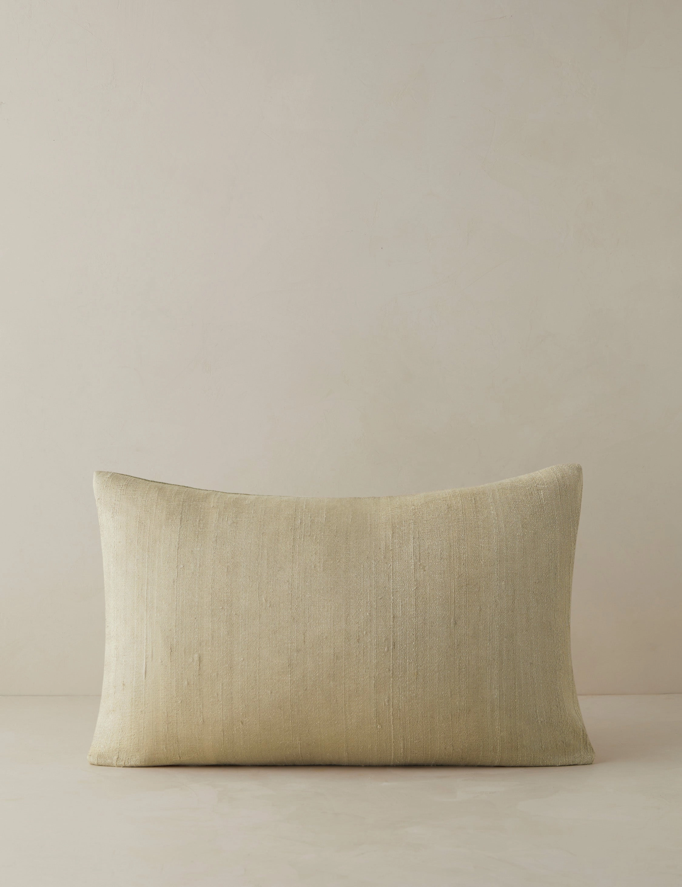 Event Horizon Silk Pillow by James Perkins