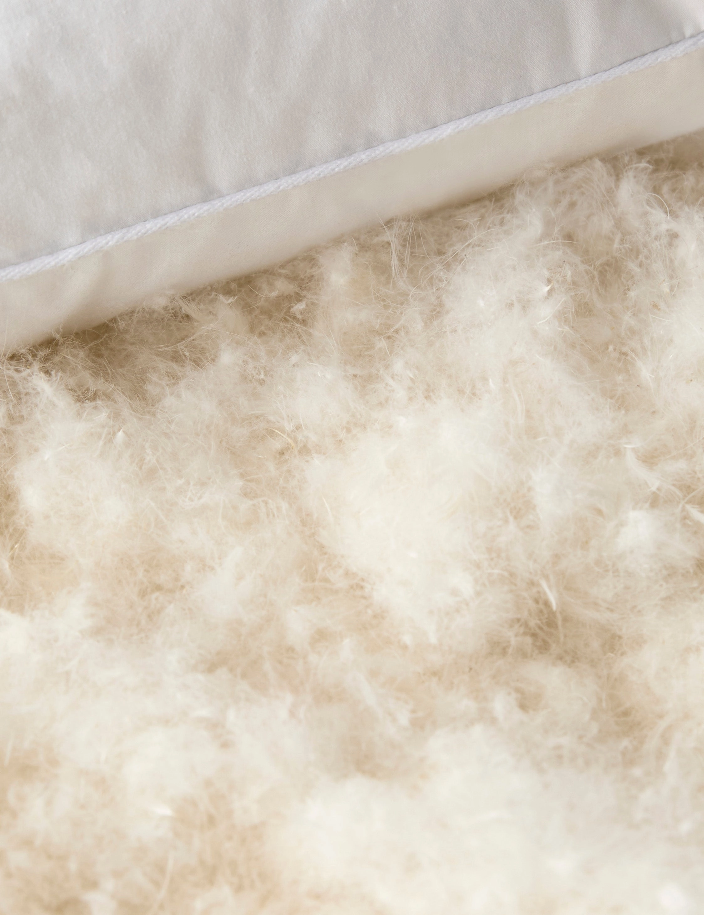 Everyday Down Pillow Insert