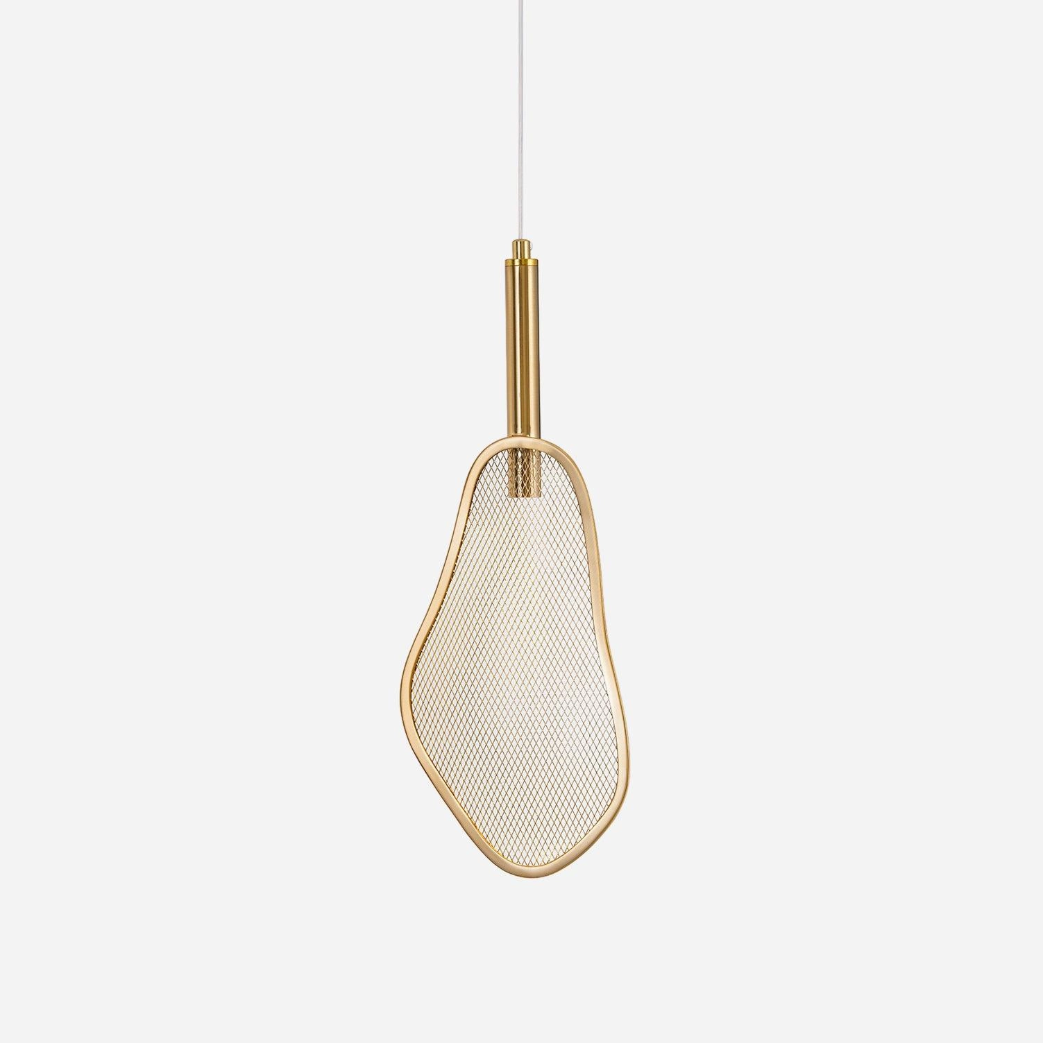Fan Shape Pendant LightScandinavian pendant light ,modern chandelier 