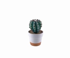 Faux Mini Barrel Cactushome decoration ,modern home decor 