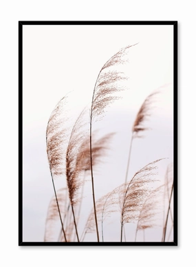 Feathery Grasses, Posterpop culture themed posters