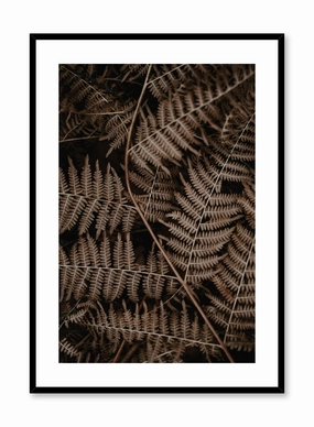 Fern, Posterpop culture themed posters