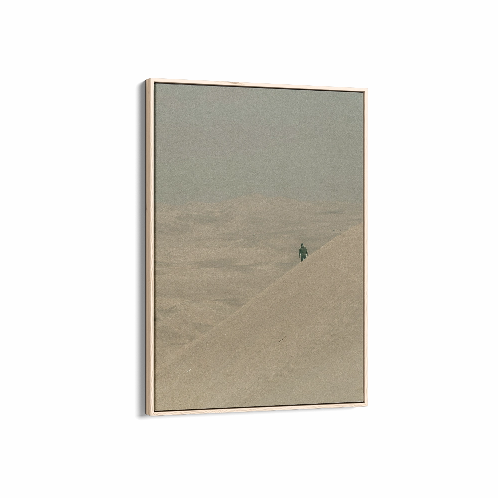 Film Series - Vast Snow
