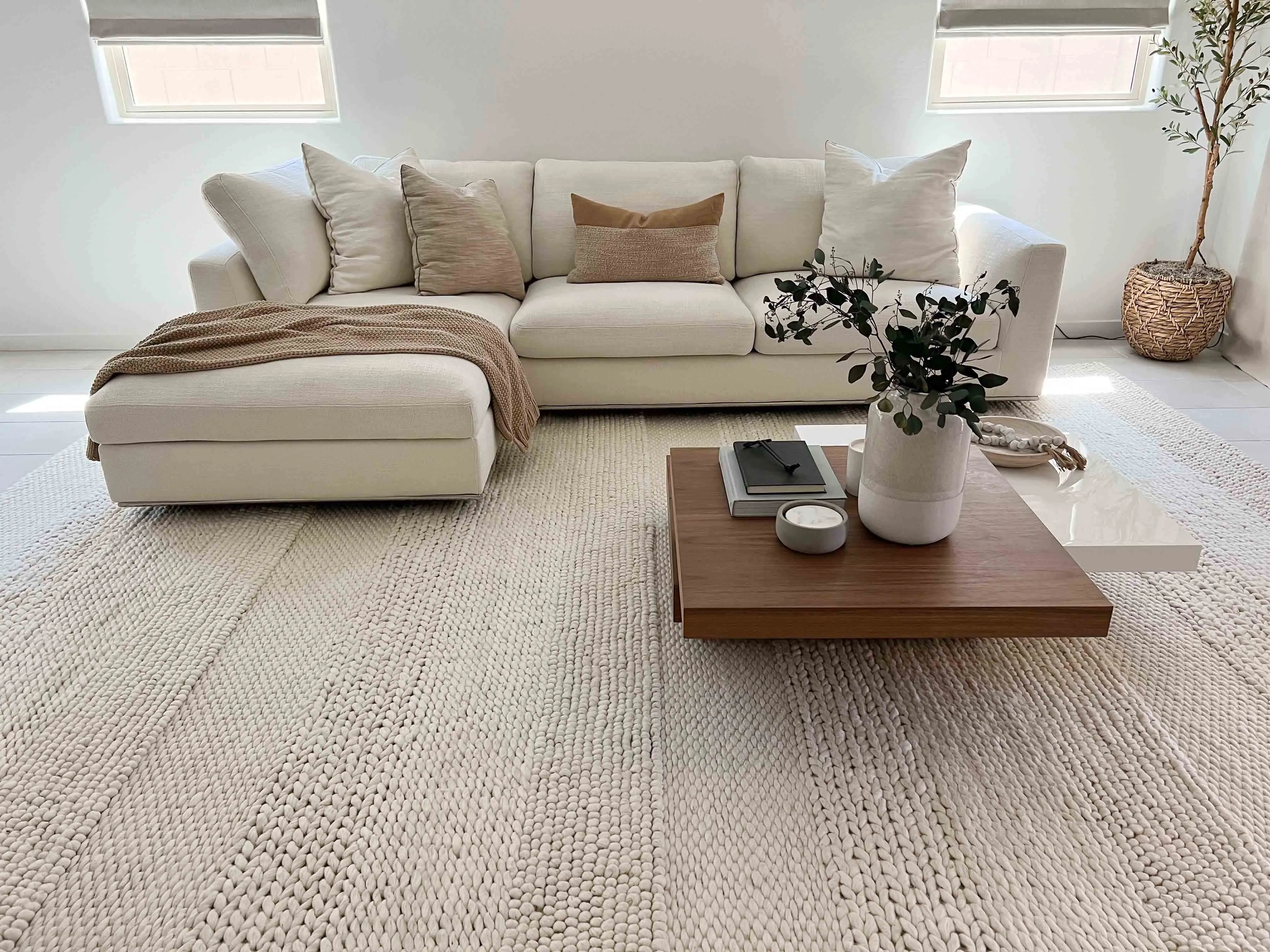 Fleur Ivory Braided and Looped Rug