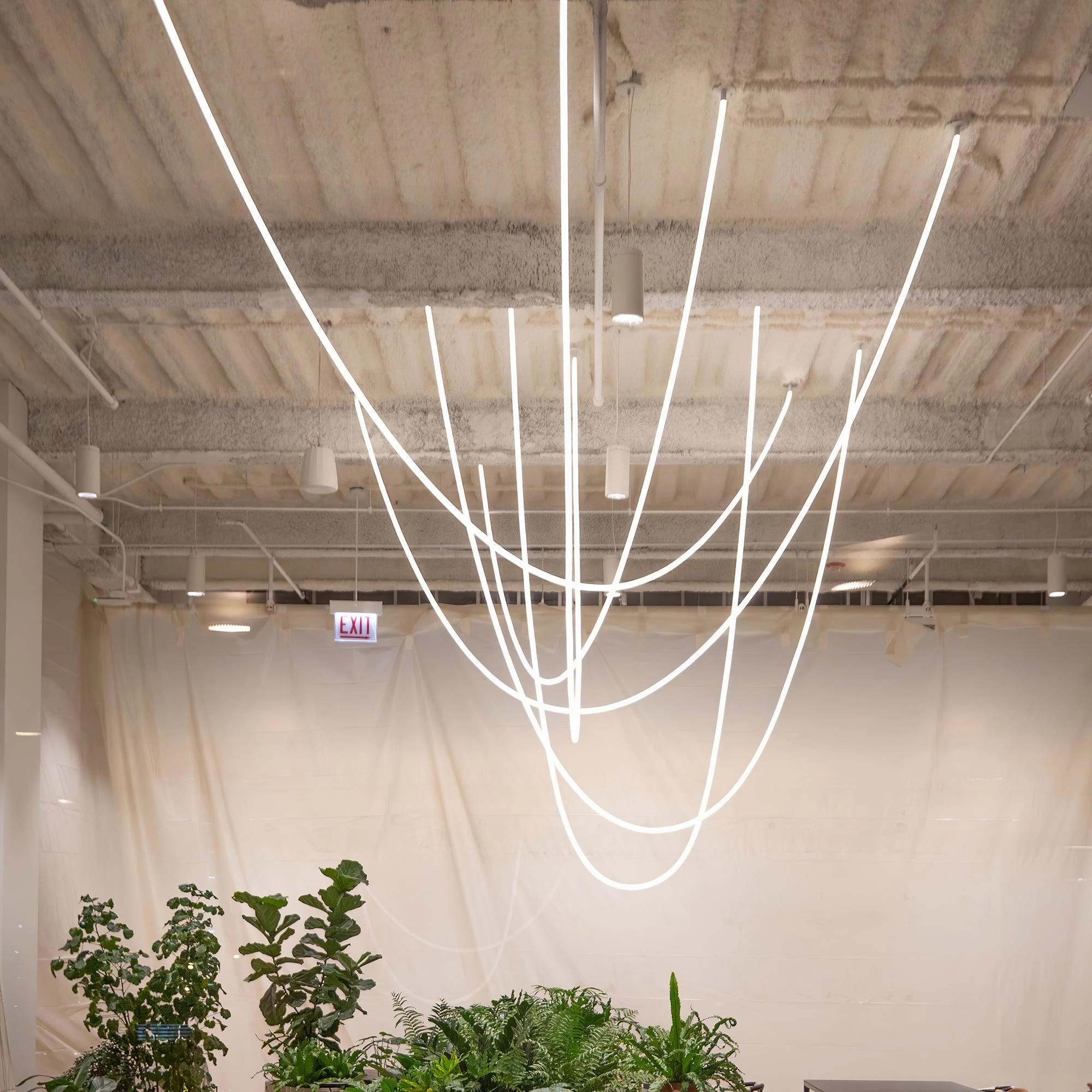 Flexible Curve Pendant Lamp