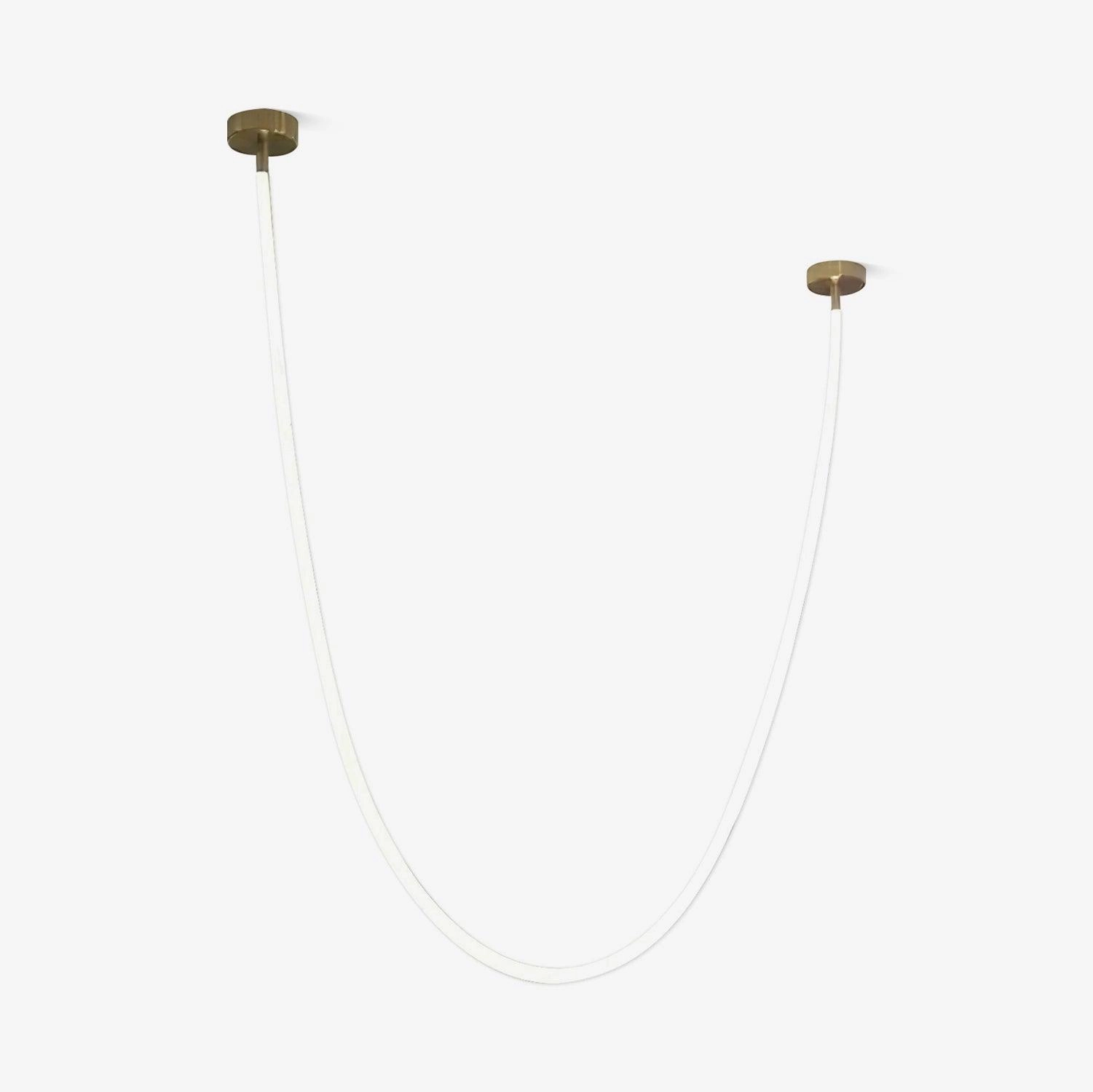 Flexible Curve Pendant Lamp