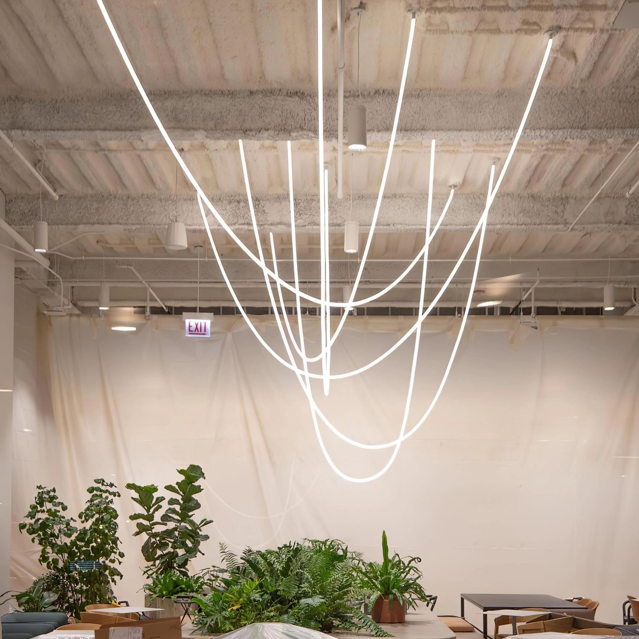 Flexible Curve Pendant Lamp