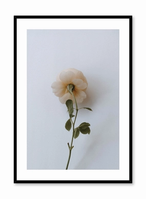 Floral Romance, Posterpop culture themed posters