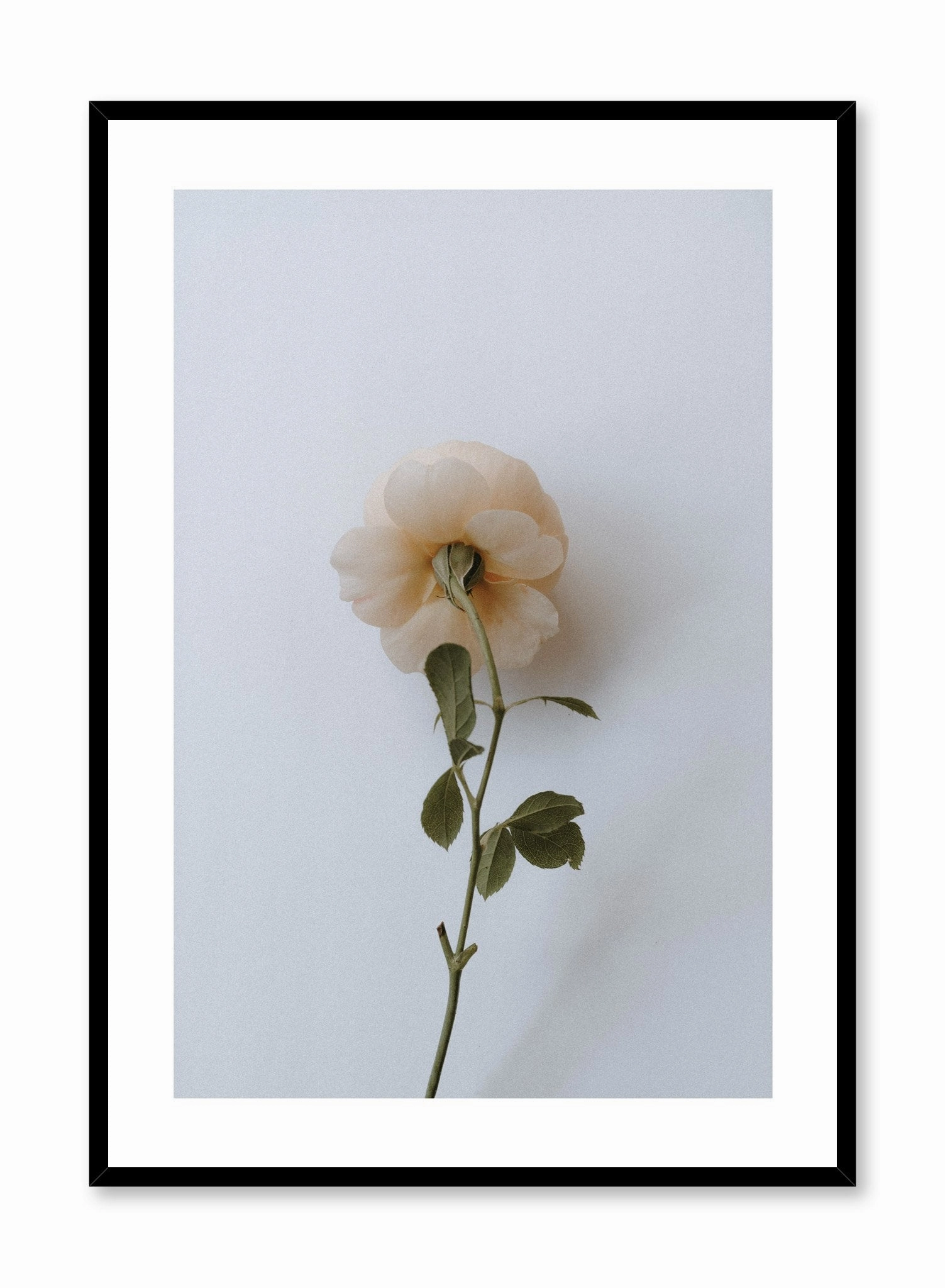 Floral Romance, Posterpop culture themed posters
