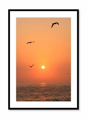 Flying into the Sunset, Posterpop culture themed posters
