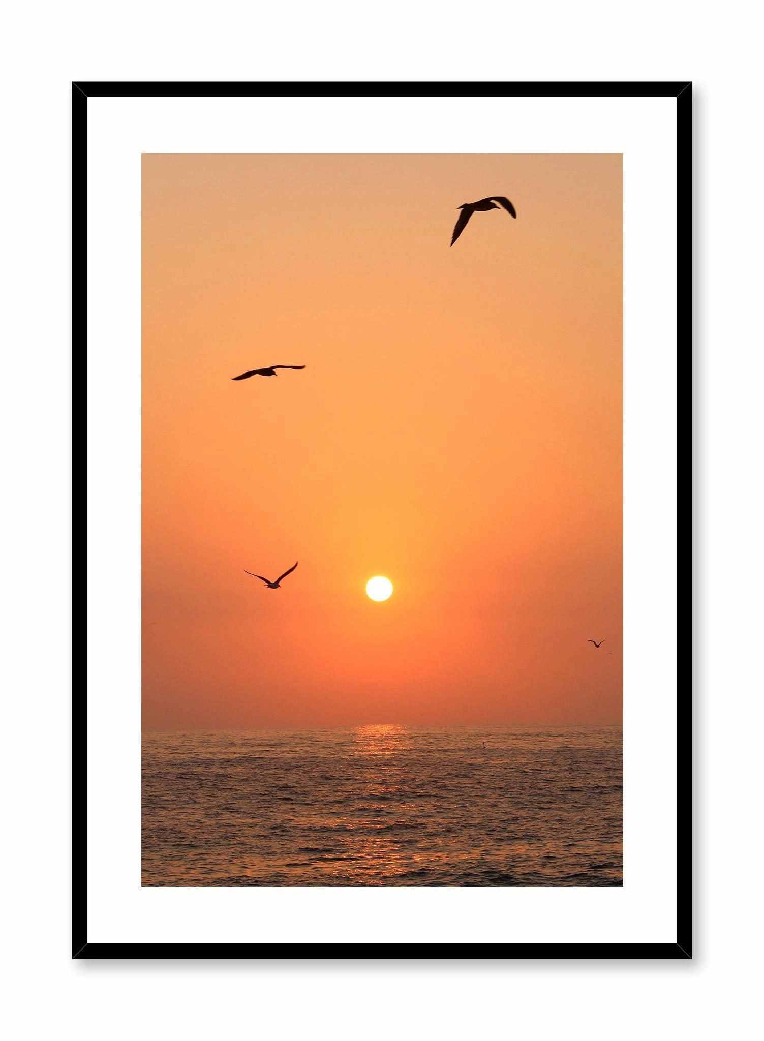 Flying into the Sunset, Posterpop culture themed posters