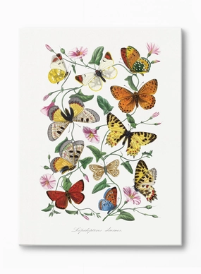 Flying Petals, Canvasindoor decorative canvas print