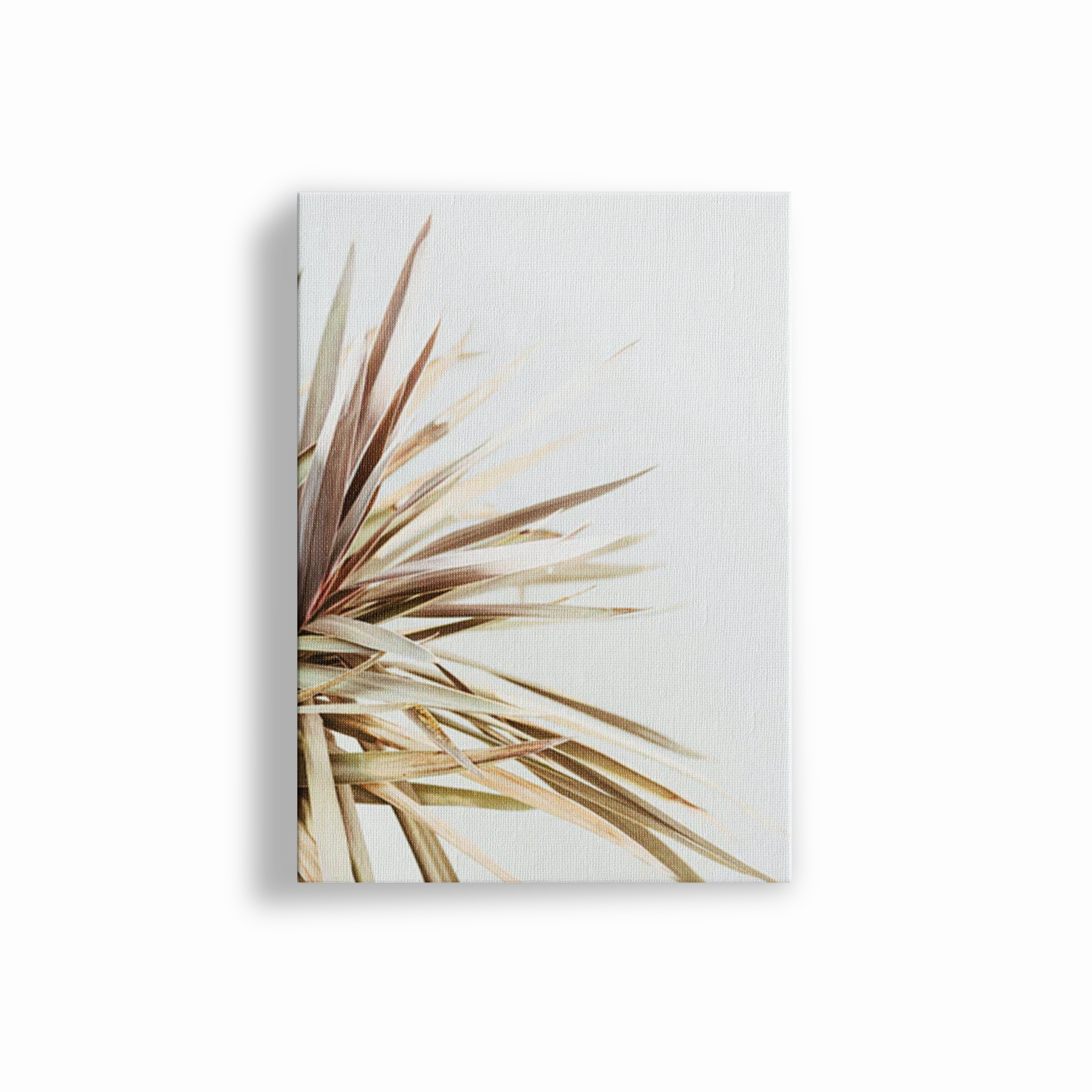 Foliage