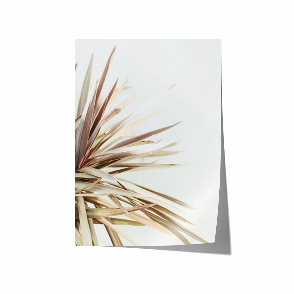 Foliage