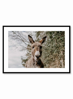 Friendly Donkey, Posterpop culture themed posters