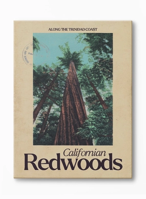 From the Redwood Forest, California, Canvasindoor decorative canvas print