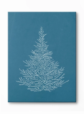 Frosted Fir, Canvasindoor decorative canvas print