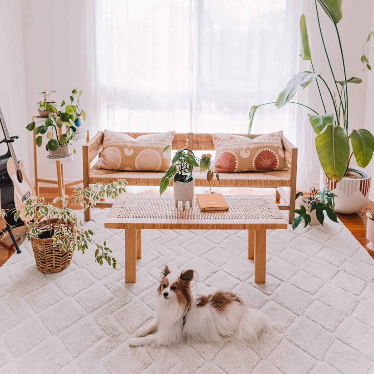 Gia Ivory Diamond Tribal PET Shag Rug