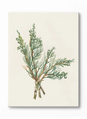 Gin and Juniper, Canvasindoor decorative canvas print