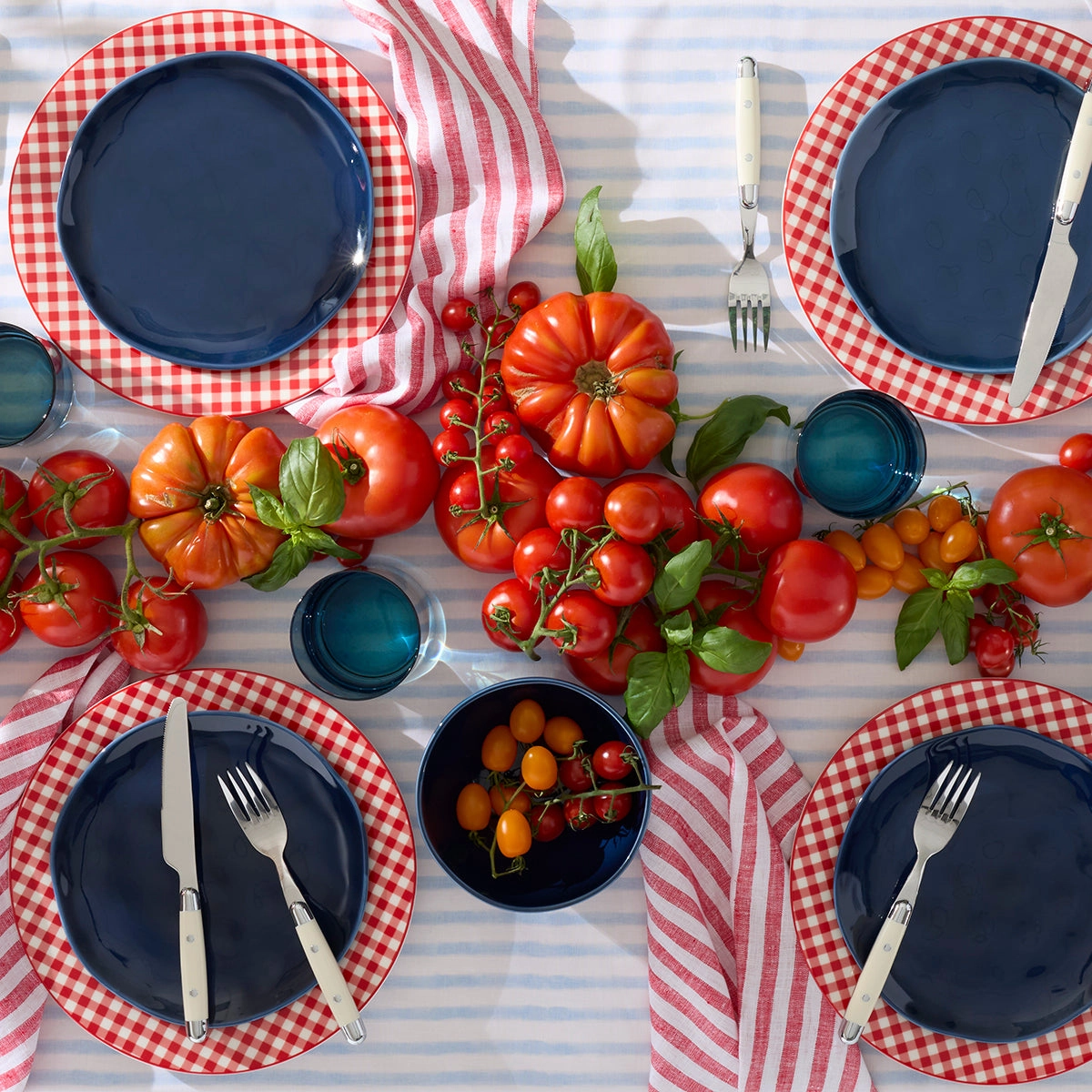 Gingham Red Dinner Plates - Set of 4
