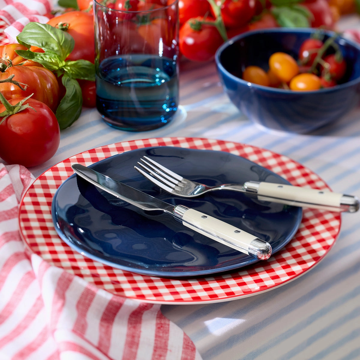 Gingham Red Dinner Plates - Set of 4