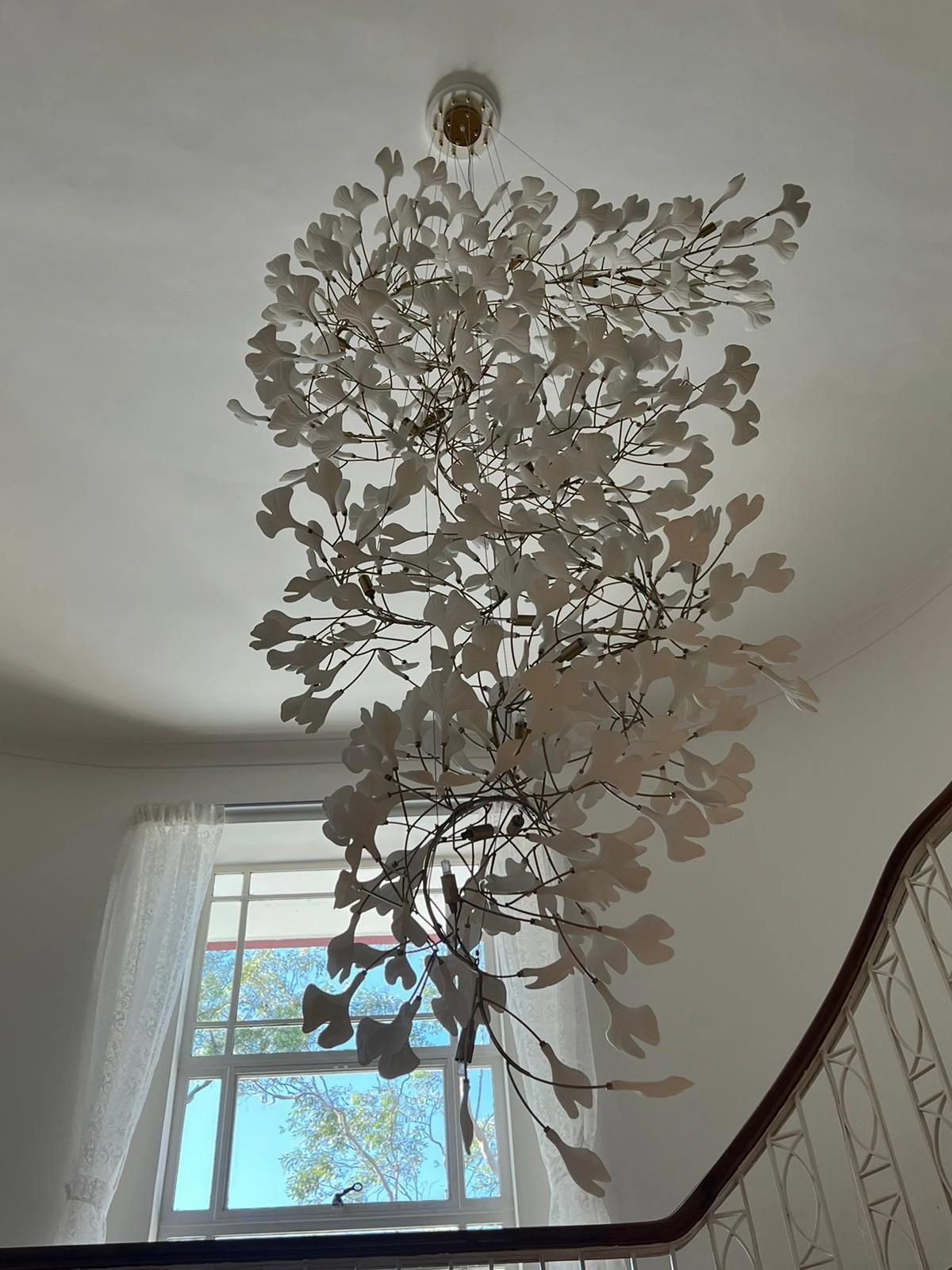 Gingko Chandelier F