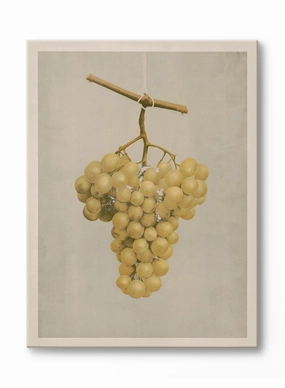 Golden Grape, Canvasindoor decorative canvas print