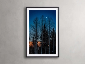 Golden Touch III Framed Printnordic style wall decor