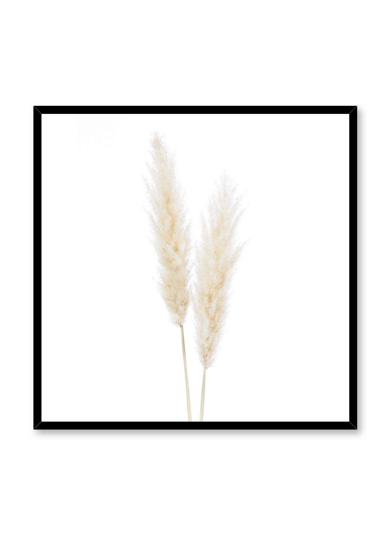 Grasses, Poster