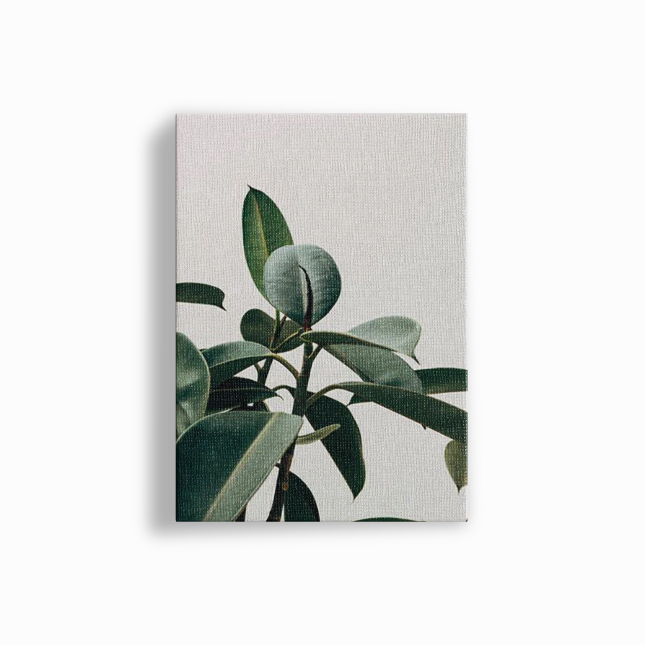 Green Life