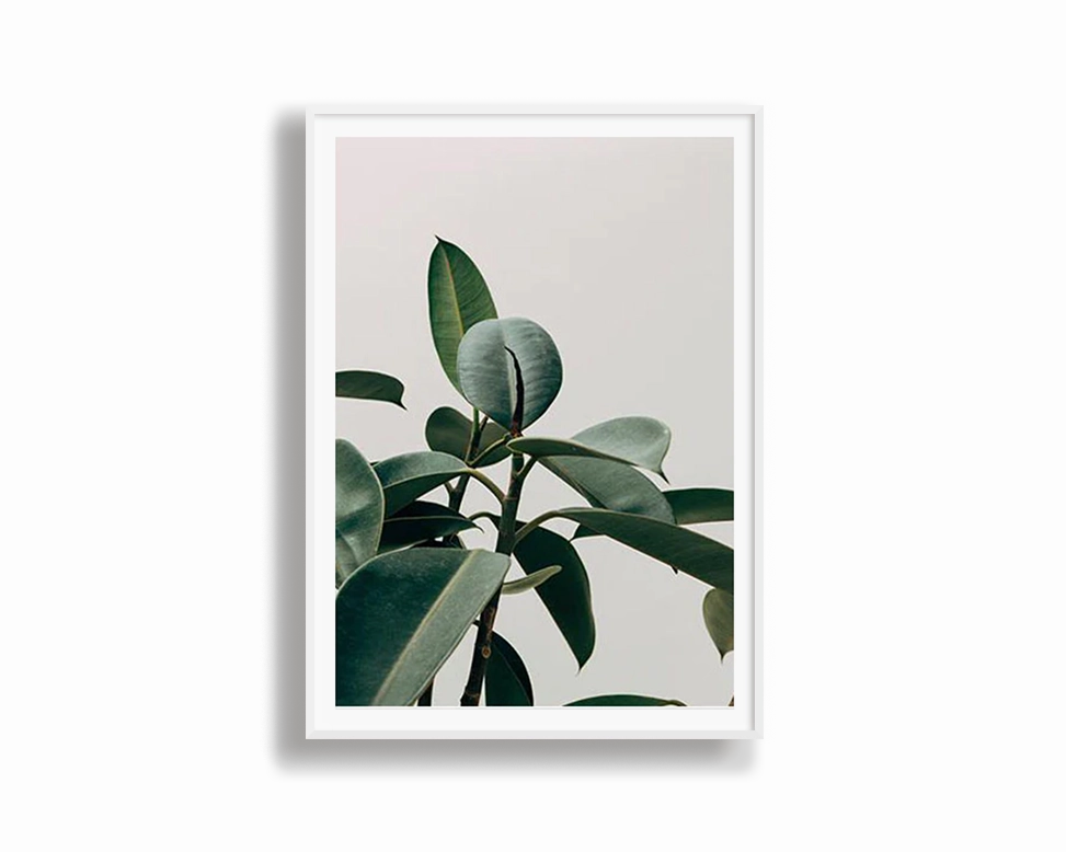 Green Life