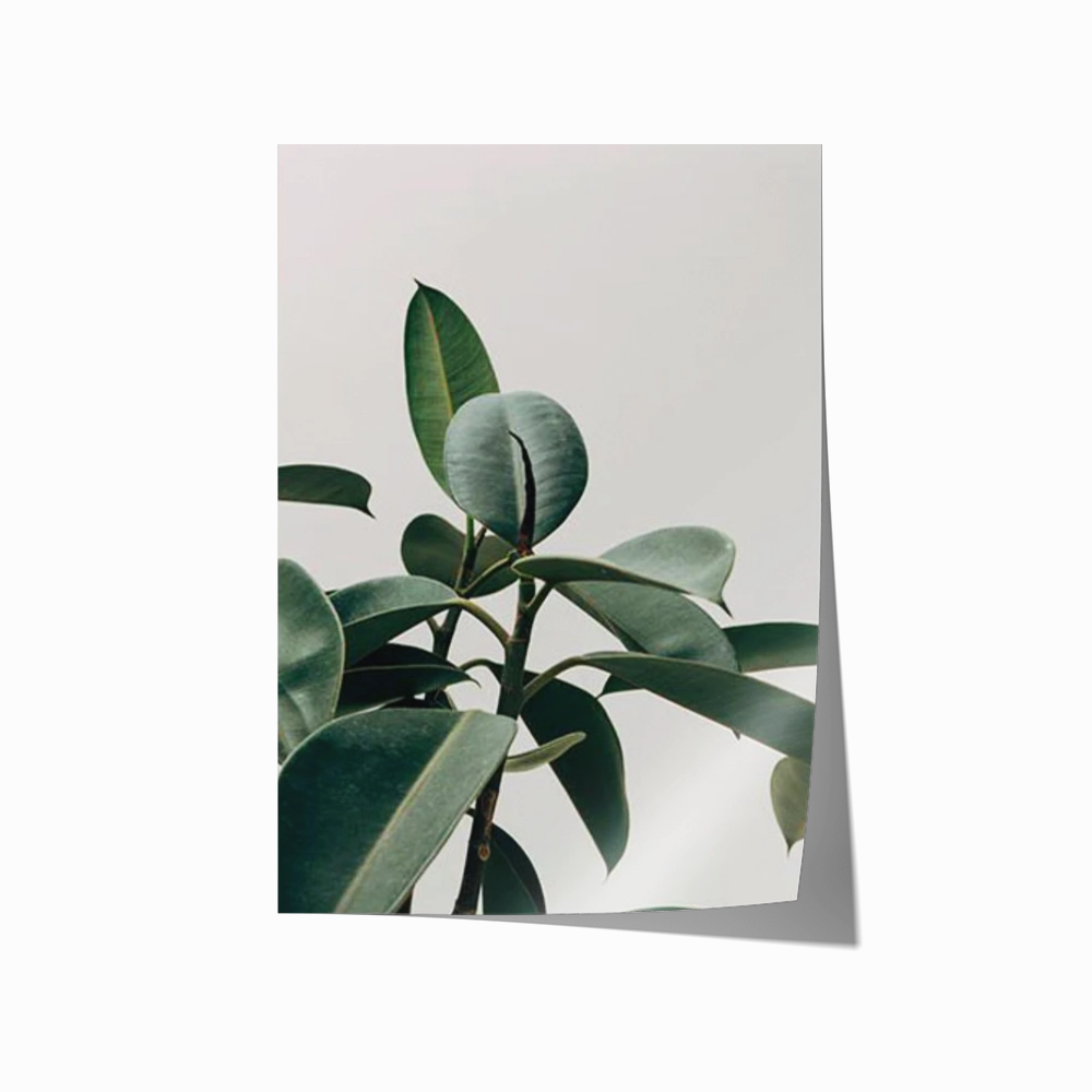 Green Life