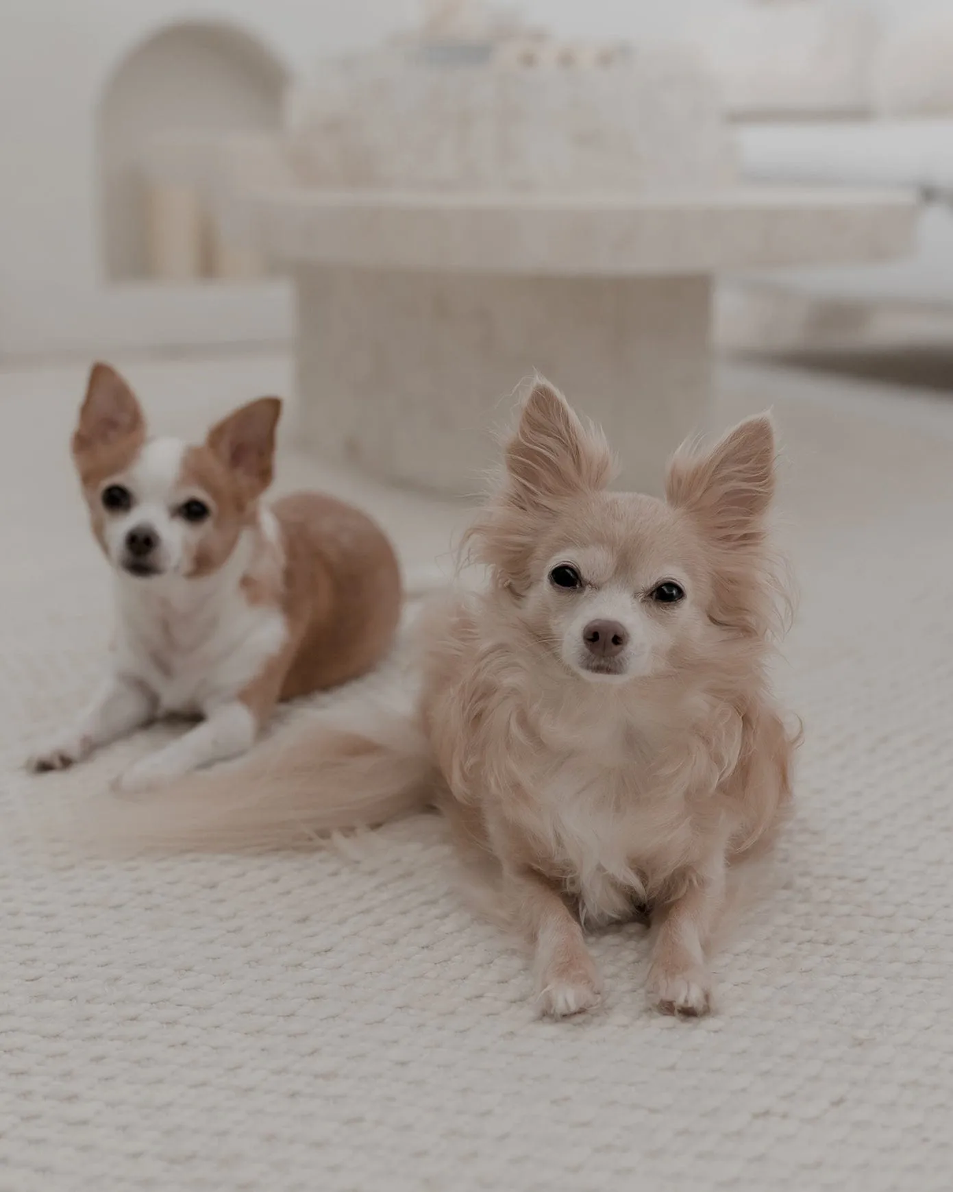 Greta Ivory Indoor Outdoor PET Rug