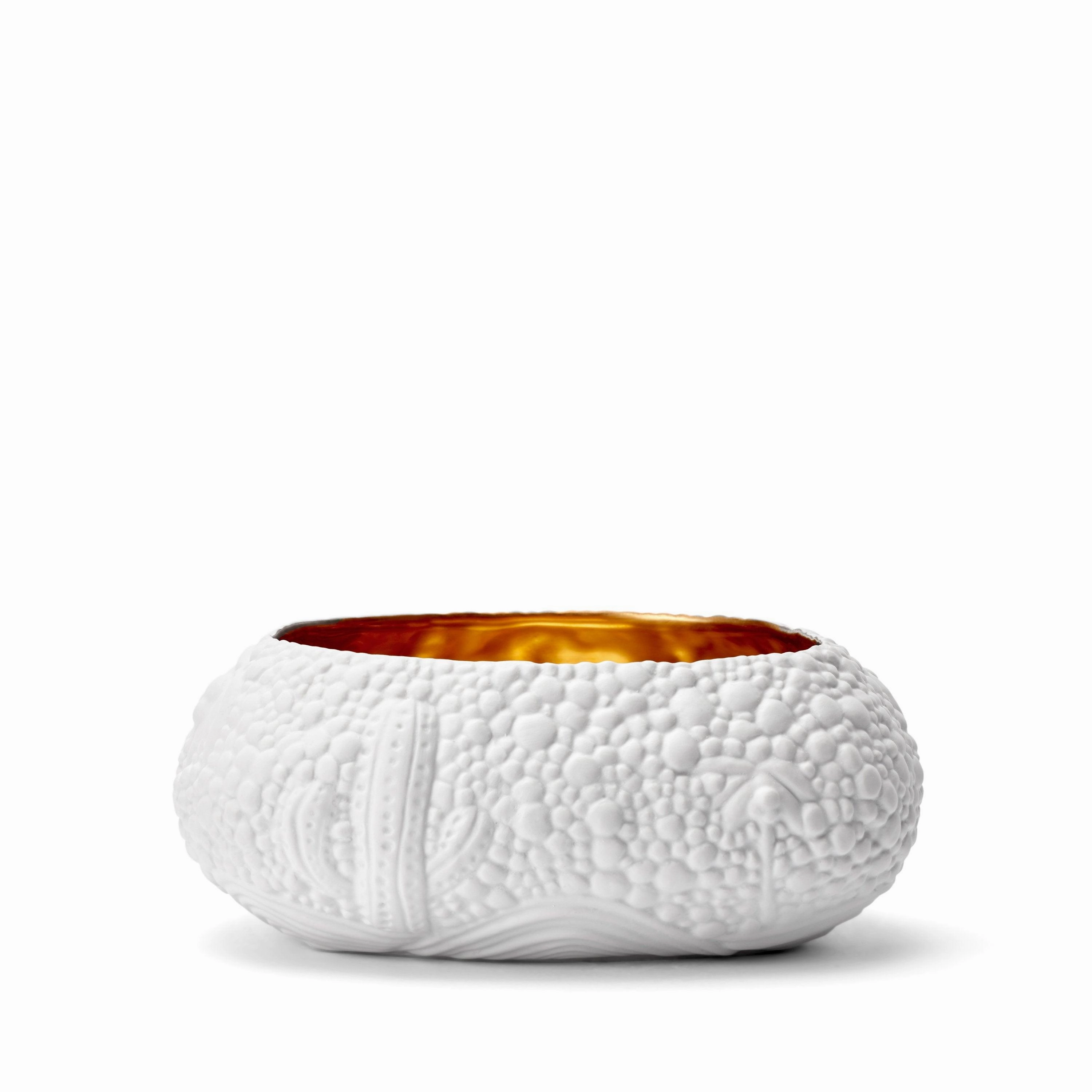Haas Mojave Desert Bowl - Medium - White   Gold