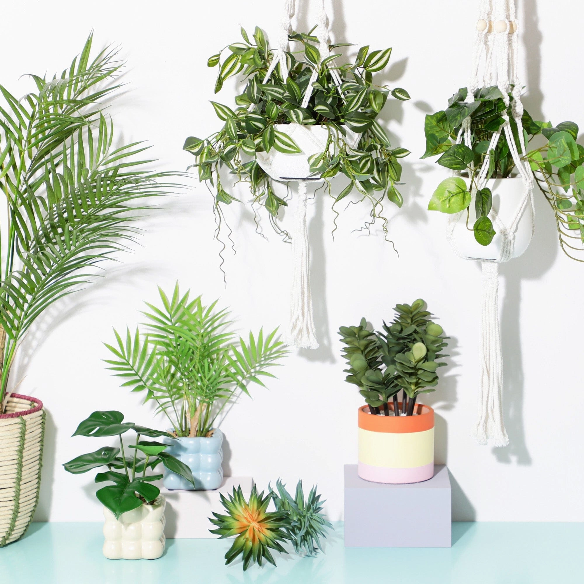 Hanging Art Green Tradescantia