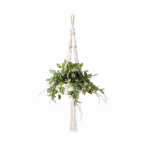 Hanging Art Green Tradescantiahome decor ,wall decor 