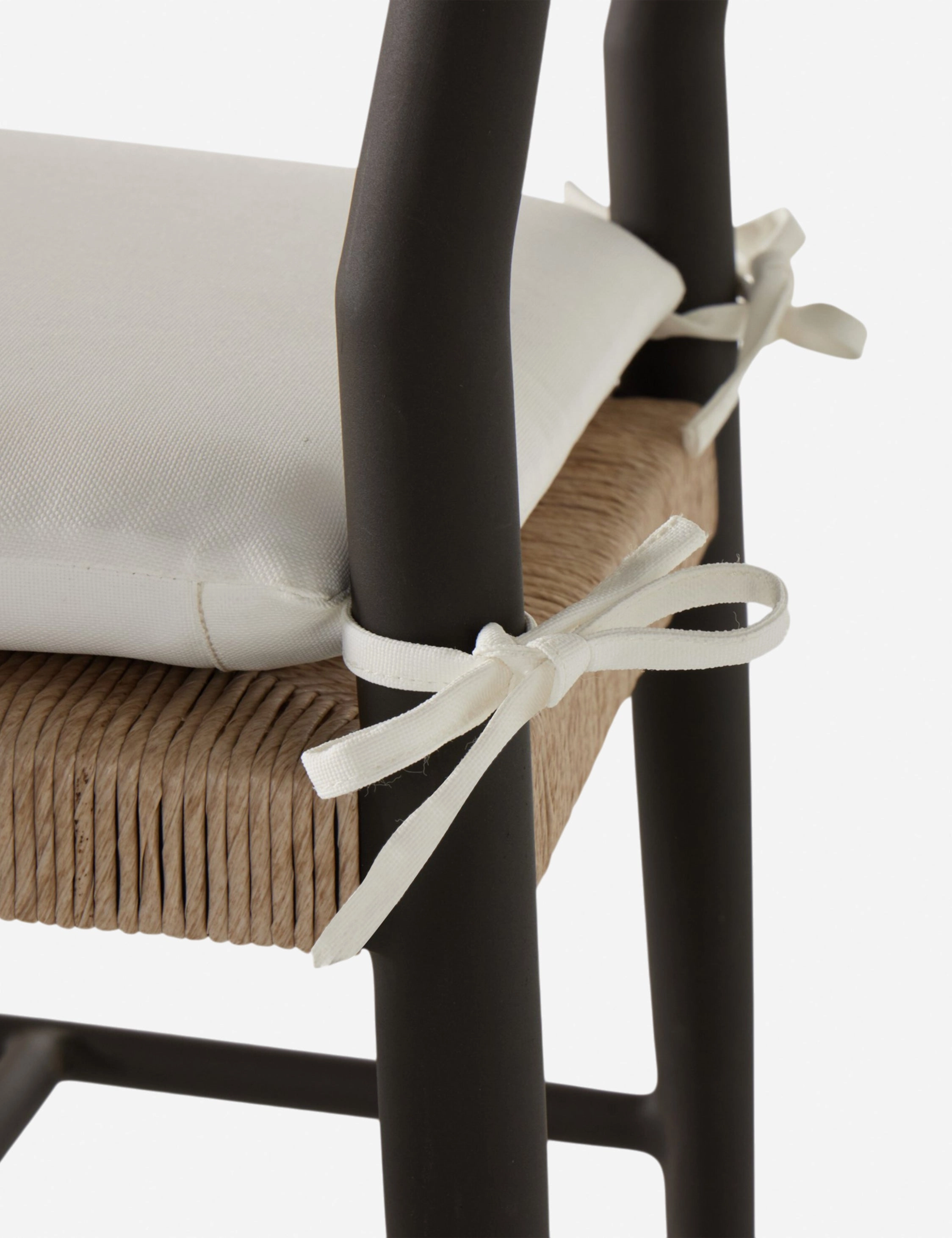 Healy Indoor / Outdoor Dining Chair