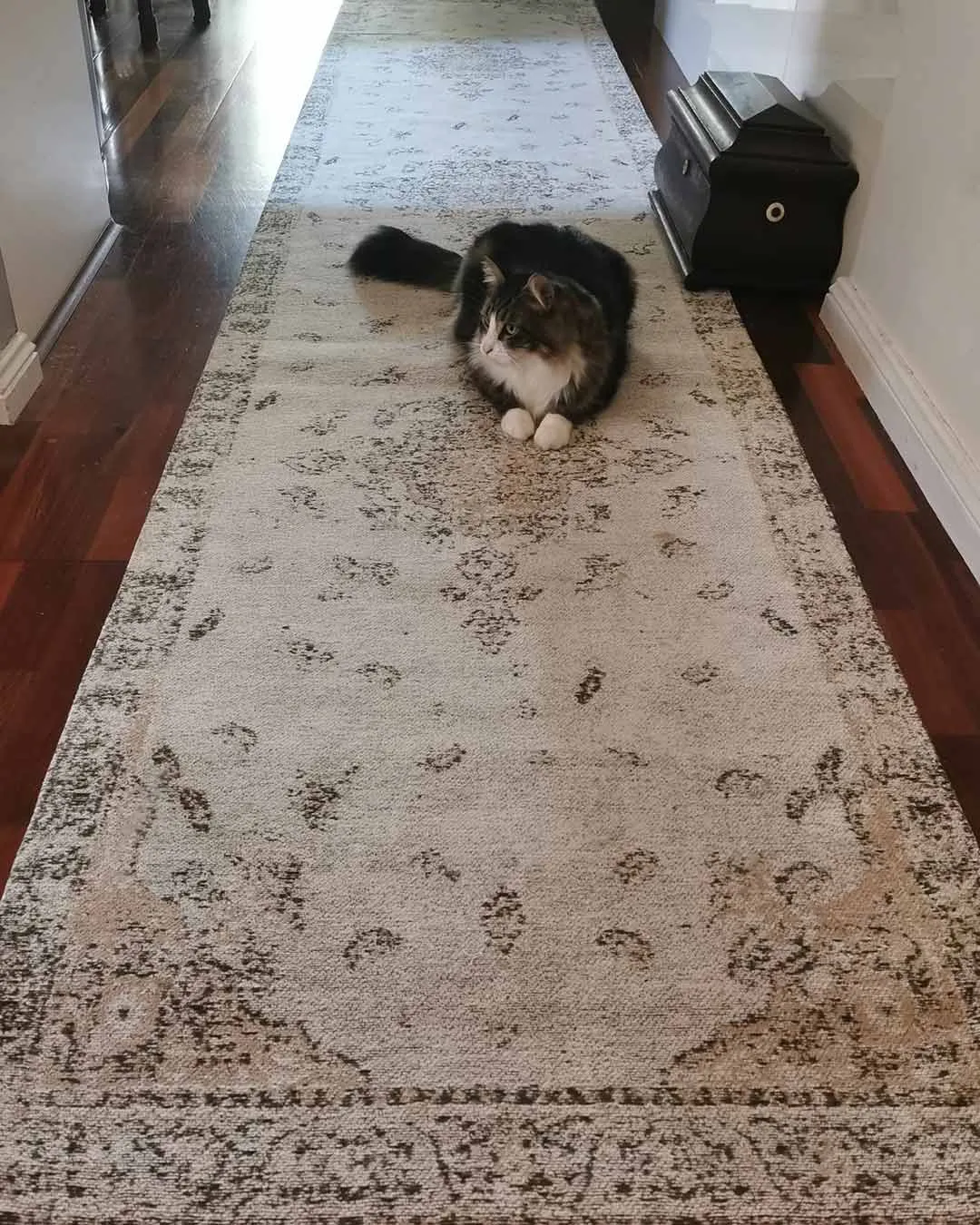 Helena White and Peach Turkish Style Distressed Runner Rug *NO RETURNS UNLESS FAULTY