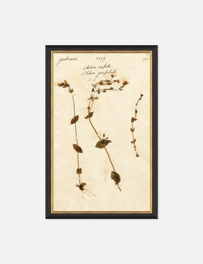 Herbarium A Wall Artnordic style wall decor