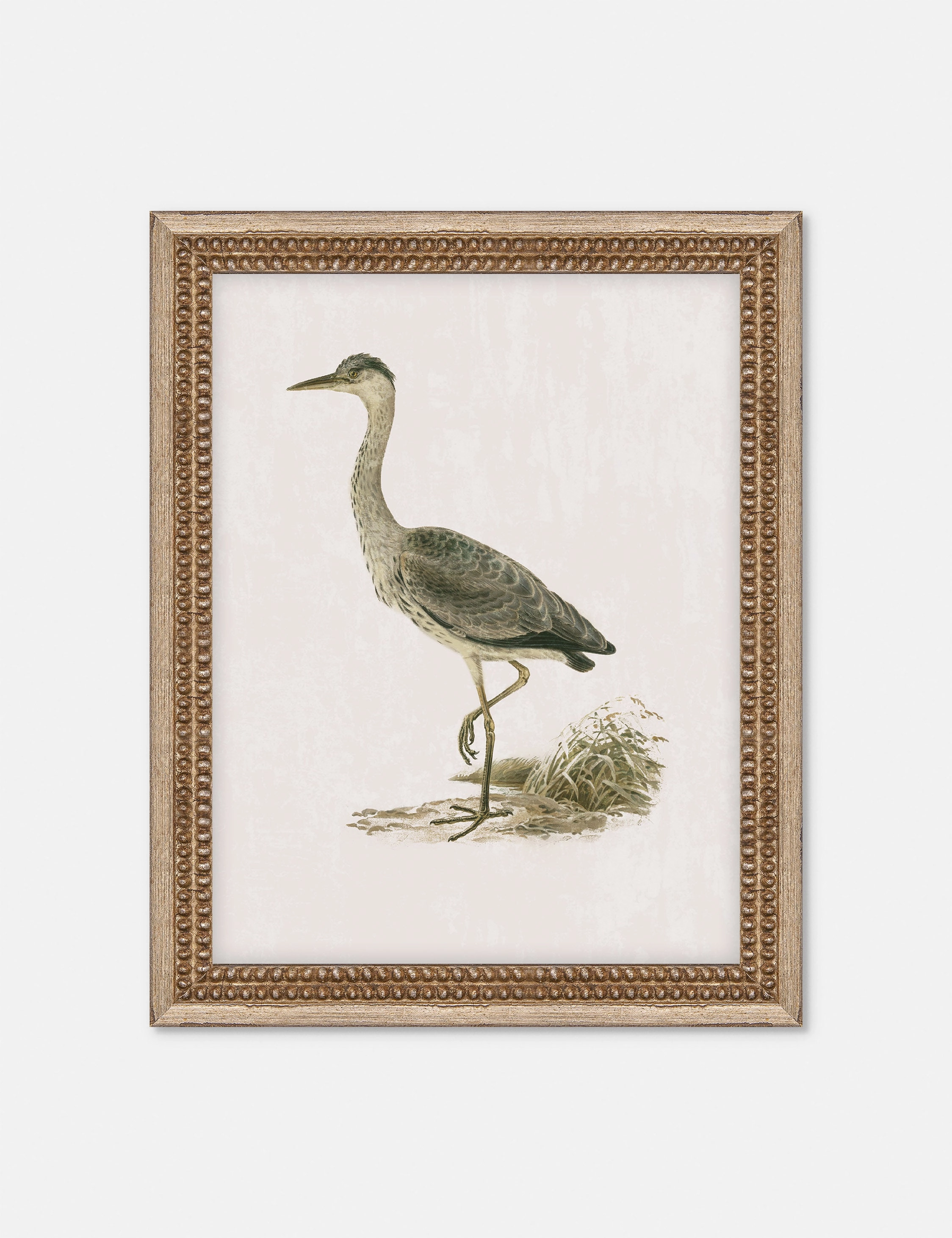 Heron Friend II Wall Art by Old Worldnordic style wall decor