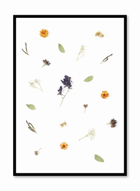 Hints of Spring , Posterpop culture themed posters