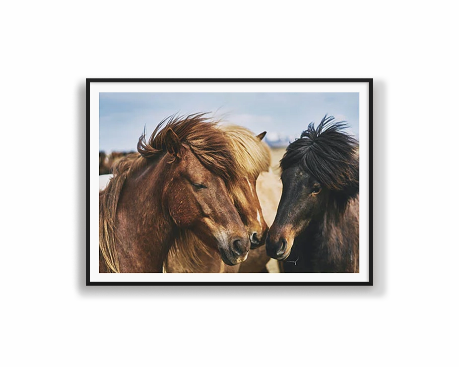 Horse Tribenordic style wall decor