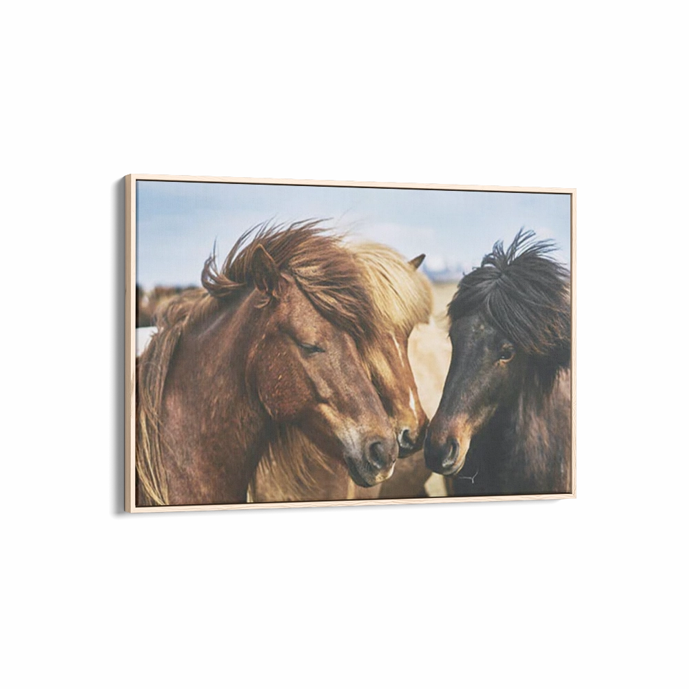 Horse Tribe