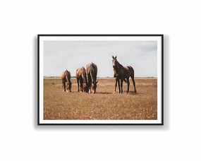 Horses Grazingmodern abstract painting decor