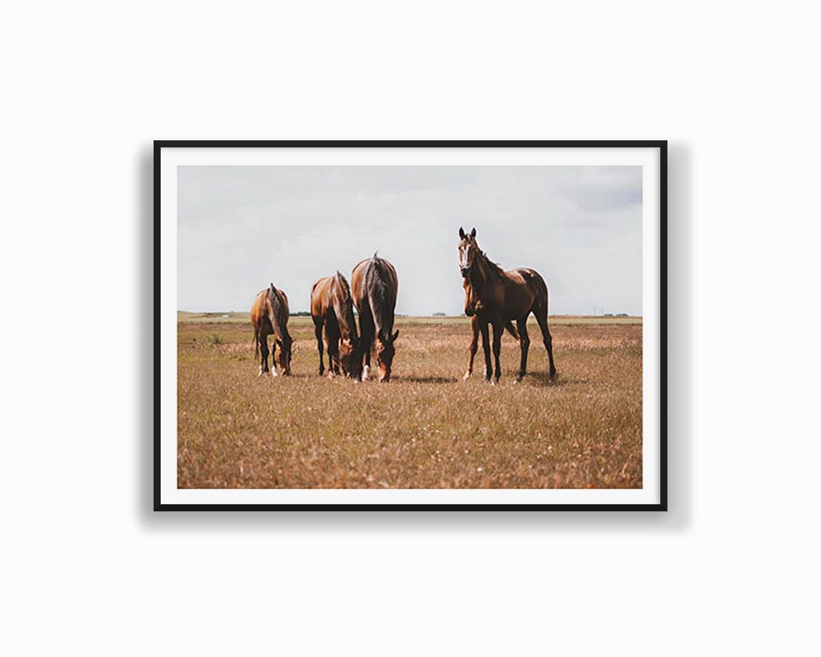 Horses Grazingmodern abstract painting decor