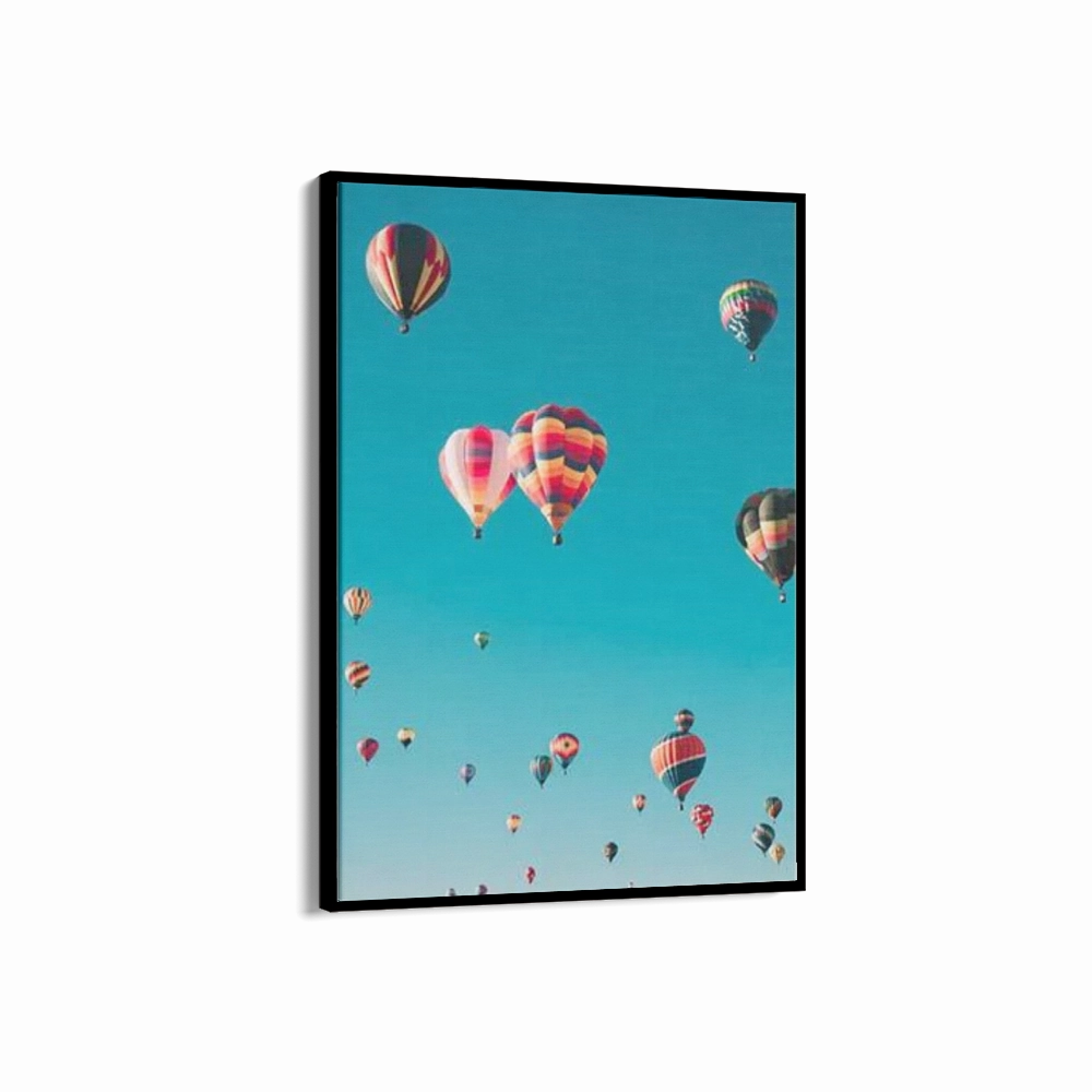 Hot Air Balloons