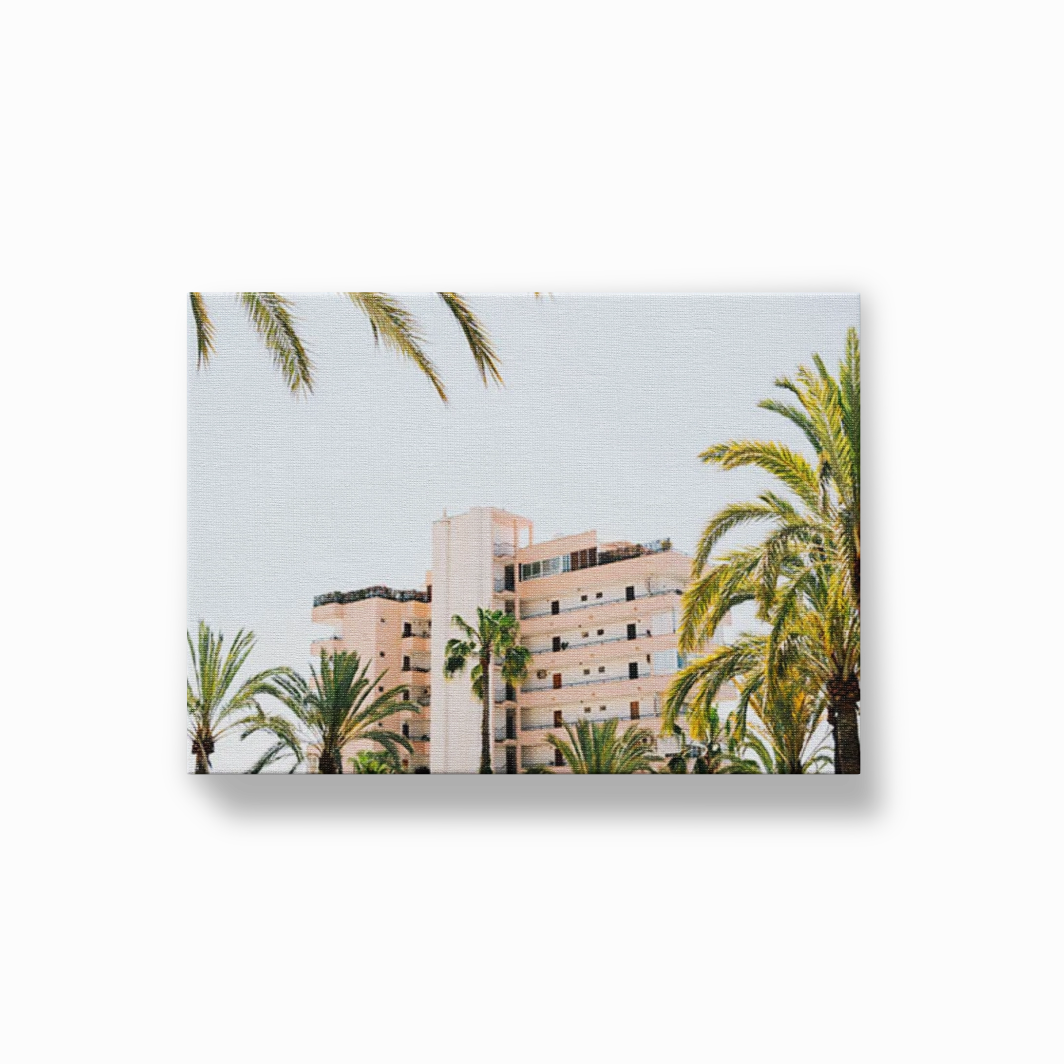 Hotel and Palm Trees