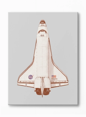 Houston, We Have Lift Off, Canvasindoor decorative canvas print