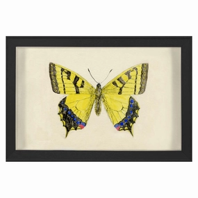 Hubbard Butterfly, Small: 1010nordic style wall decor